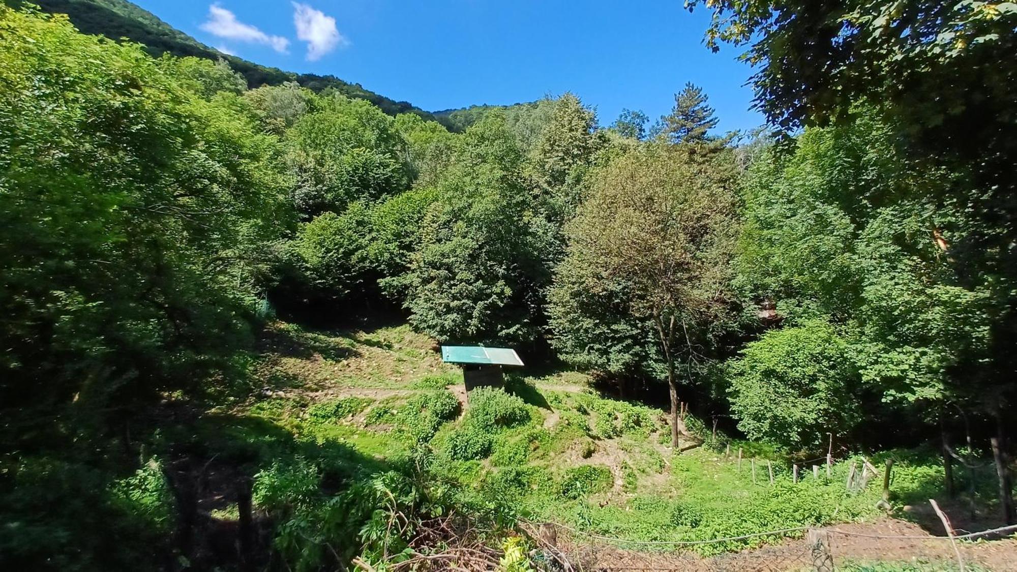 La Stanza Del Bosco Lägenhet Arcumeggia Exteriör bild
