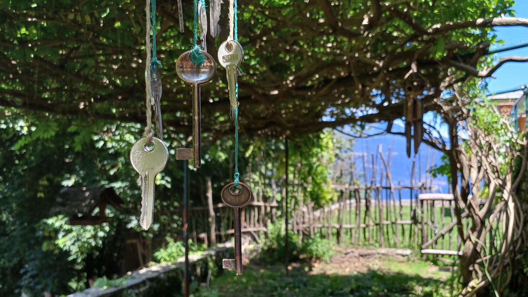 La Stanza Del Bosco Lägenhet Arcumeggia Exteriör bild